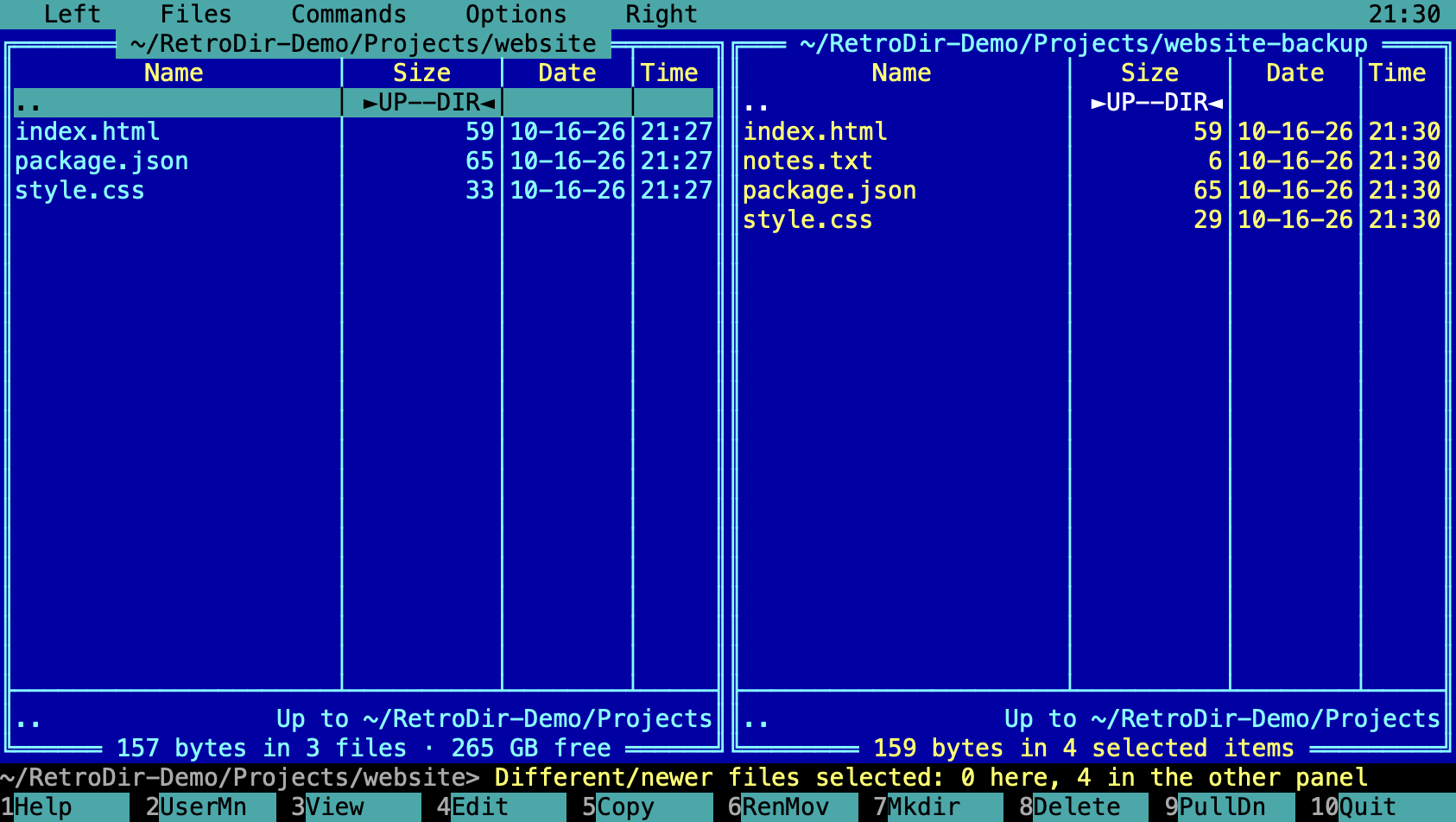 Two panels after Compare folders, with differing files selected