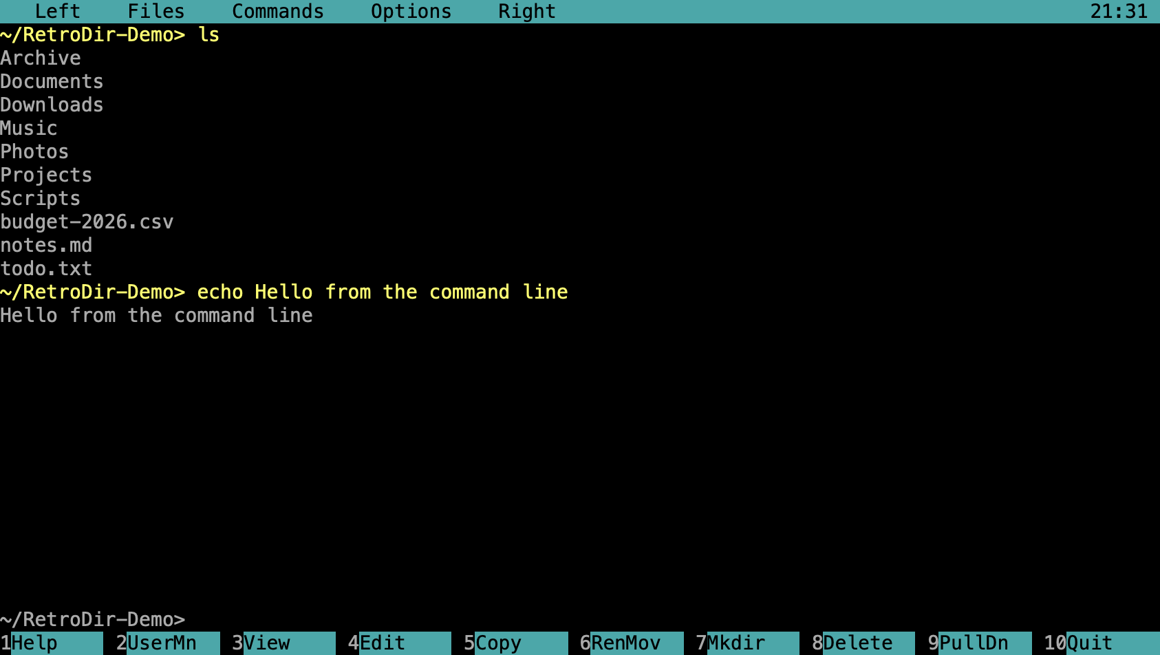 The console showing the output of ls and echo