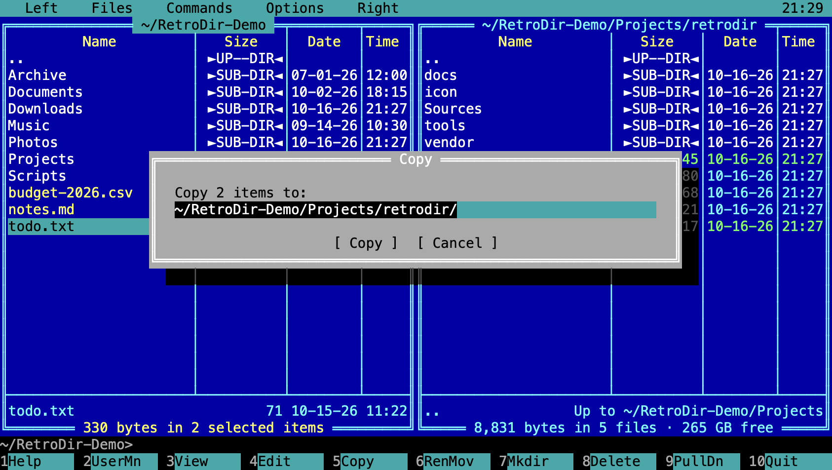 The Copy dialog for two selected items