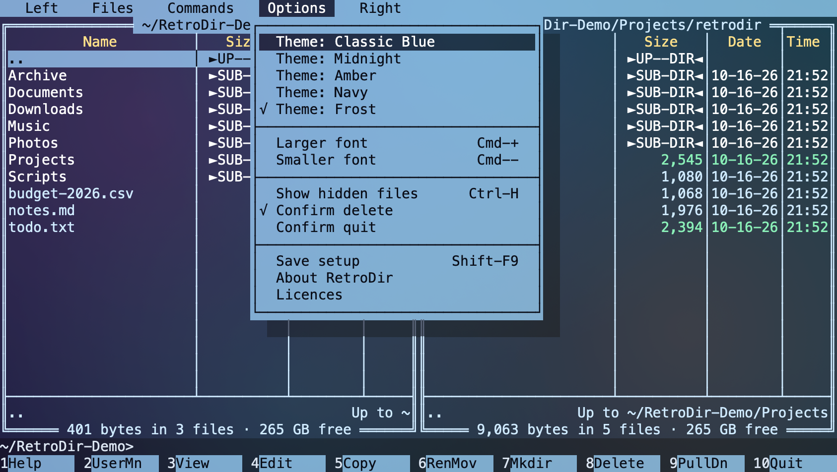 Frost theme with the Options menu open