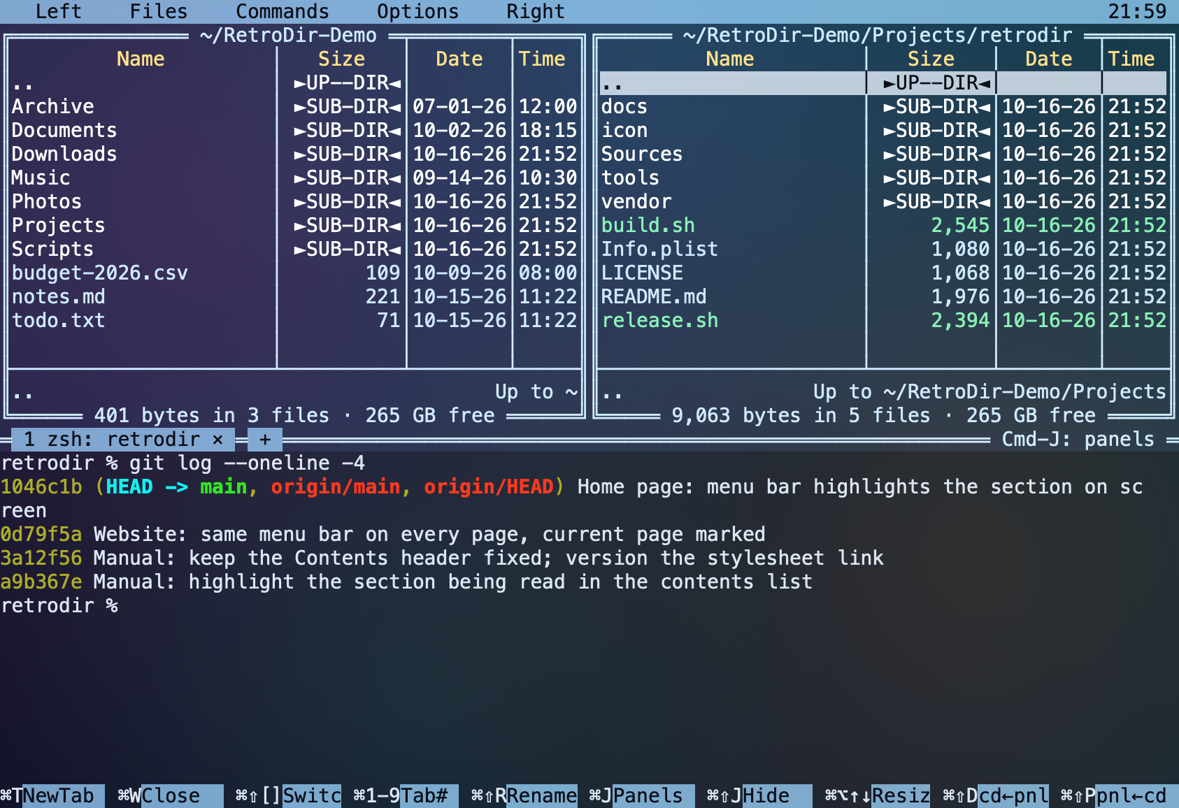 Frost theme with the built-in terminal open