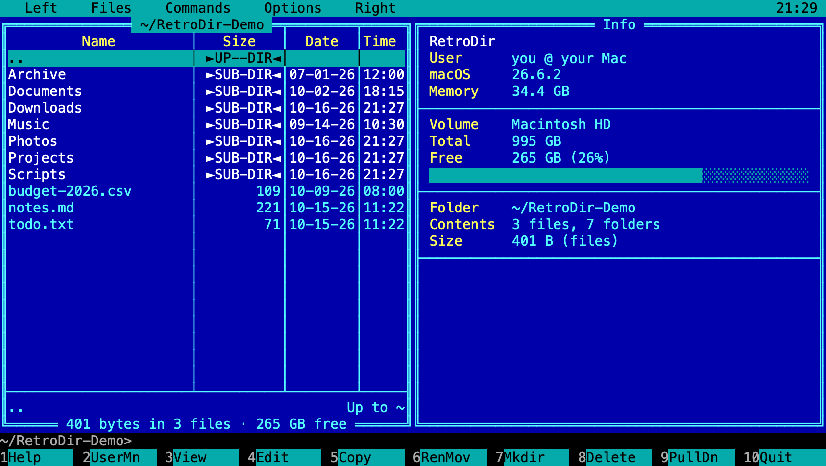The Info panel showing system, volume and folder details