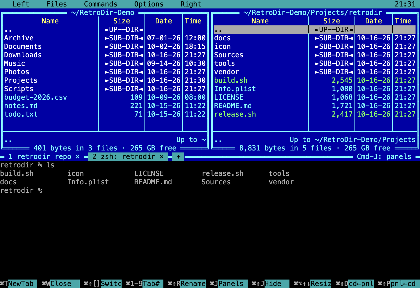 Two terminal tabs, the first named 'retrodir repo'