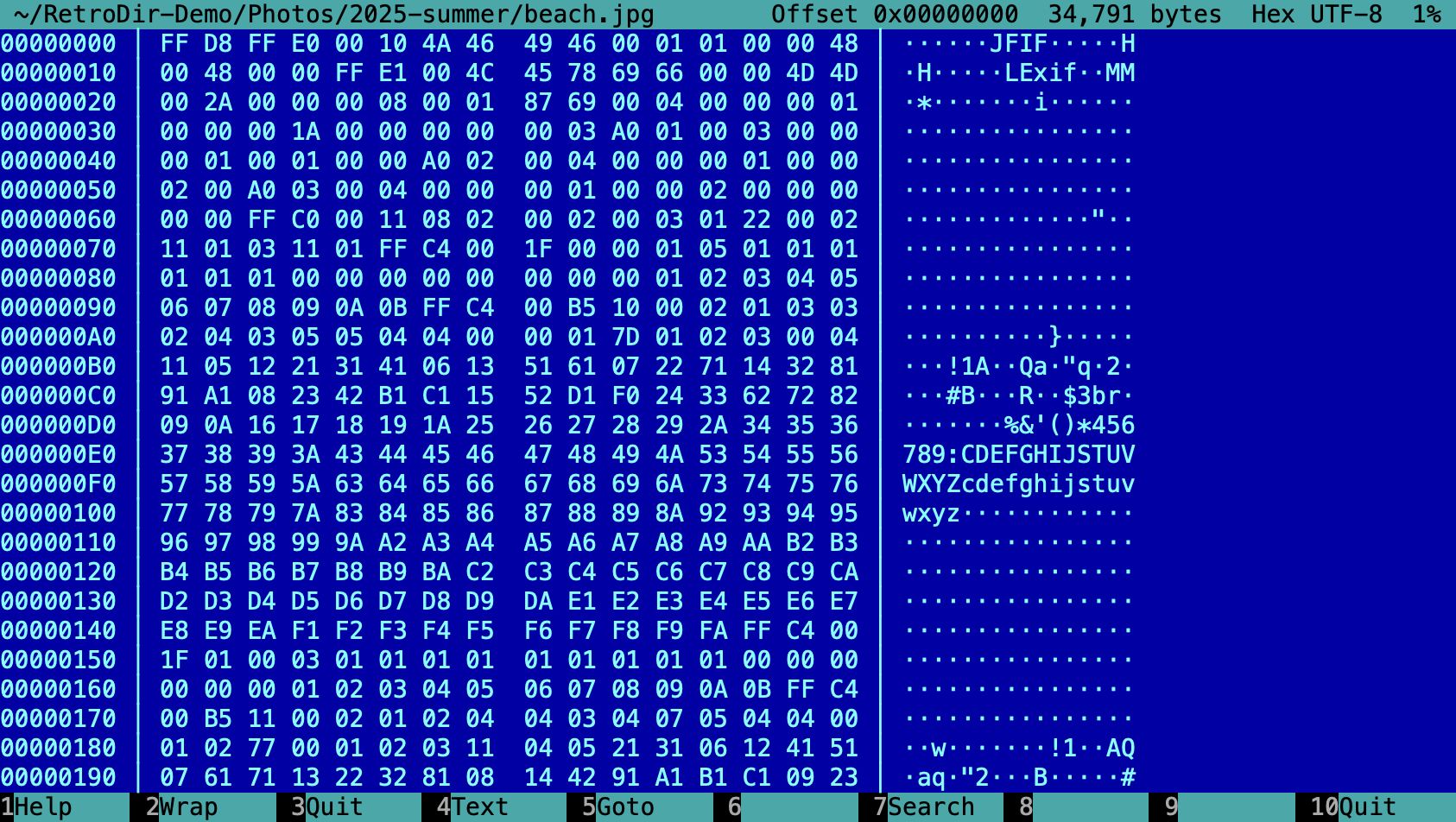The viewer in hex mode showing a JPEG file