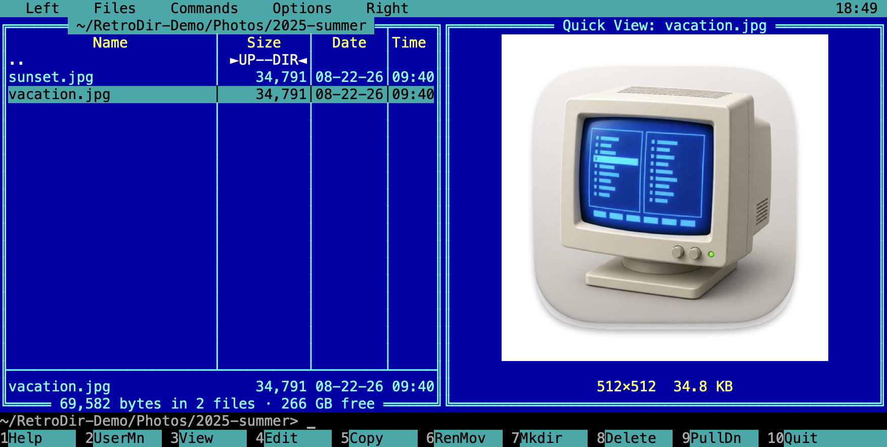 Quick View showing an image preview in the right panel